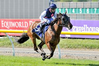 Dee and Gee (NZ) in full flight at Riccarton during Metropolitan Trophy. Photo: Race Images South.